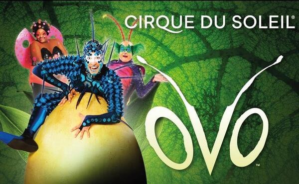 Cirque du soleil Hotel Gold By Marina Playa del Inglés Cirque du soleil Hotel Gold By Marina Playa del Inglés